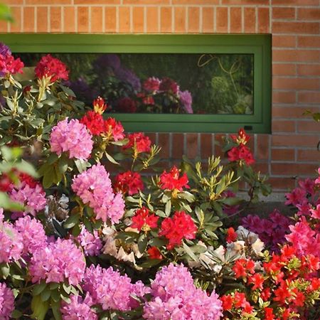 Villa Delle Ortensie Tavagnacco Bagian luar foto