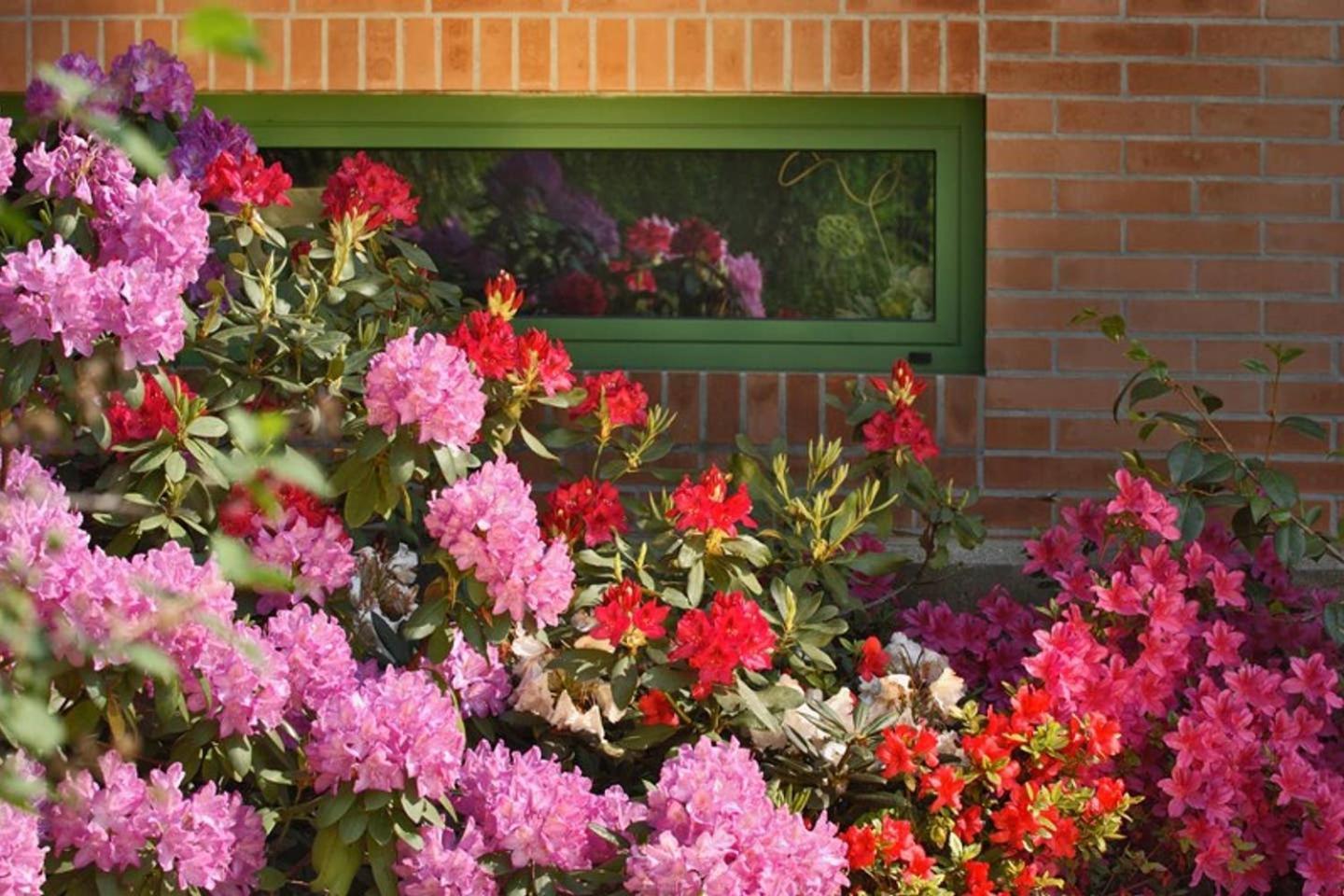 Villa Delle Ortensie Tavagnacco Bagian luar foto